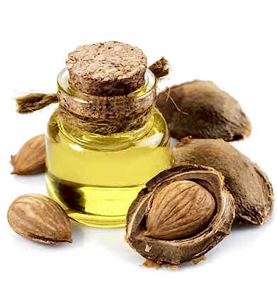 Organic Turkish Apricot Kernel Oil manufacturer